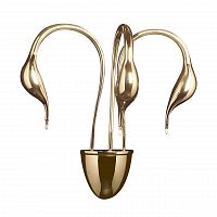 бра lightstar cigno collo 751632 в Энгельсе