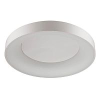 потолочный светодиодный светильник odeon light sole 4062/80cl в Энгельсе