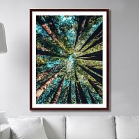 картина: deep forest в Энгельсе