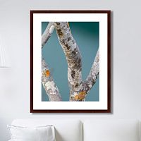 картина: trees on the galapagos islands, ecuador no3 в Энгельсе