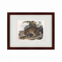 картина: bobcat, 1839 в Энгельсе