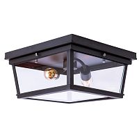 потолочный светильник loft it loft3110-2c в Энгельсе
