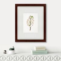 картина: pear tree flowers (pyrus calleryana), 1830 в Энгельсе