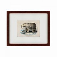 картина: white polar bear on an ice, 1830 в Энгельсе