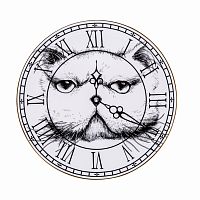 тарелка кот на циферблате в Энгельсе