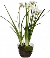 декор allium в Энгельсе