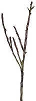 декор dry branches в Энгельсе