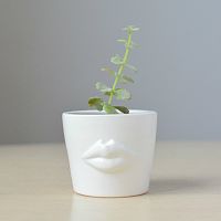 набор для выращивания eco мини-кашпо «губы» в Энгельсе