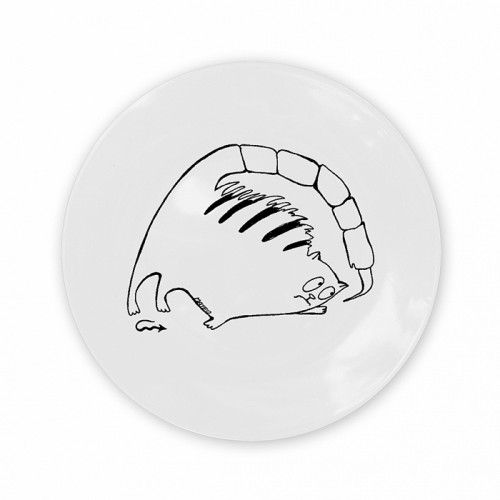 тарелка кот-скорпион в Энгельсе