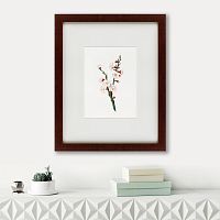 картина: apricot flower (prunus armeniaca), 1832 в Энгельсе