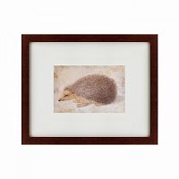 картина: a hedgehog, 1584 в Энгельсе