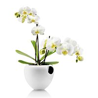 горшок для орхидеи orchid pot белый в Энгельсе