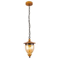 подвесной светильник arte lamp catena a6711sp-1br в Энгельсе