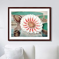 картина: a gigantic water lily in bloom, 1870г. в Энгельсе