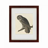 картина: great gray owl, 1834 в Энгельсе