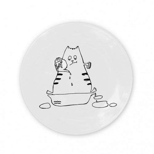 тарелка кот-водолей в Энгельсе