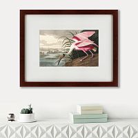 картина: roseate spoonbill, 1827 в Энгельсе