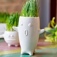 ваза eco тиль в Энгельсе