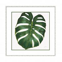 постер monstera зеленый в Энгельсе