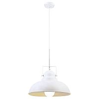 подвесной светильник arte lamp martin a5213sp-1wg в Энгельсе