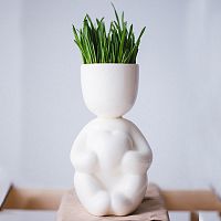 набор для выращивания eco романтик в Энгельсе