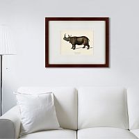 картина: rhinoceros ancienne gravure, 1849 в Энгельсе