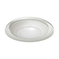 потолочный светодиодный светильник odeon light benso 4623/48cl в Энгельсе