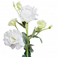 лизиантус белый 77 см (12) в Энгельсе