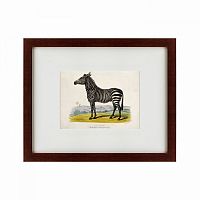 картина: a zebra, 1830 в Энгельсе