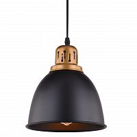 подвесной светильник arte lamp eurica a4245sp-1bk в Энгельсе