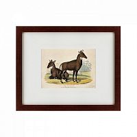 картина: two nilgais, 1830 в Энгельсе