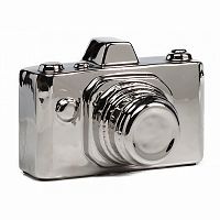 предмет декора camera серебряная в Энгельсе