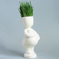 набор для выращивания eco мама в Энгельсе