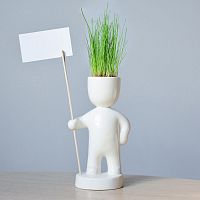 набор для выращивания eco знаменосец в Энгельсе