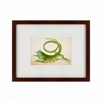 картина: green iguana, 1701 в Энгельсе