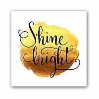 постер shine а3 в Энгельсе
