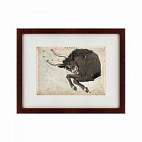 картина: signs of zodiac taurus, 1825 в Энгельсе