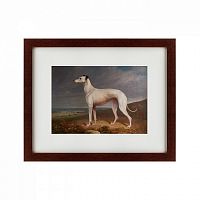картина: portrait of a greyhound, 1744 в Энгельсе