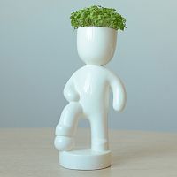 набор для выращивания eco футболист в Энгельсе