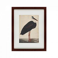 картина: black stork in a landscape, индия, 1780 в Энгельсе