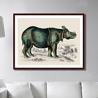 картина: rhinoceros, 1774г. в Энгельсе