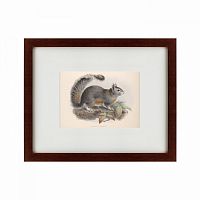 картина: the squirrel, 1879 в Энгельсе