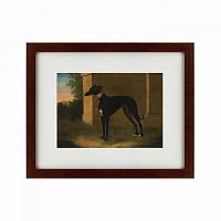 картина: portrait of a greyhound called pompon, 1746 в Энгельсе