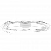 потолочный светильник lightstar ovale 784246 в Энгельсе