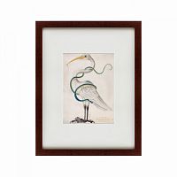 картина: heron encircled by a snake, 1700 в Энгельсе