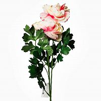 пион розовый 62 см (12) в Энгельсе