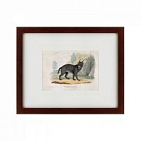 картина: a caracal or lynx, 1830 в Энгельсе