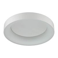 потолочный светодиодный светильник odeon light sole 4062/50cl в Энгельсе